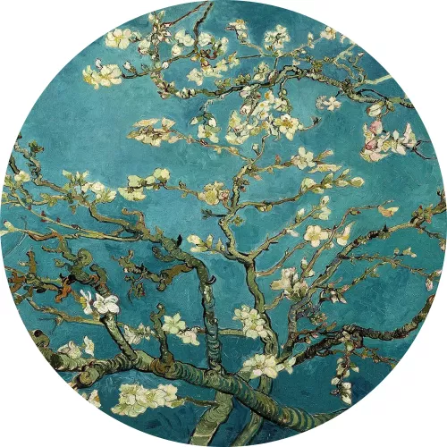 mondilab Blossom - van Gogh  (103056)